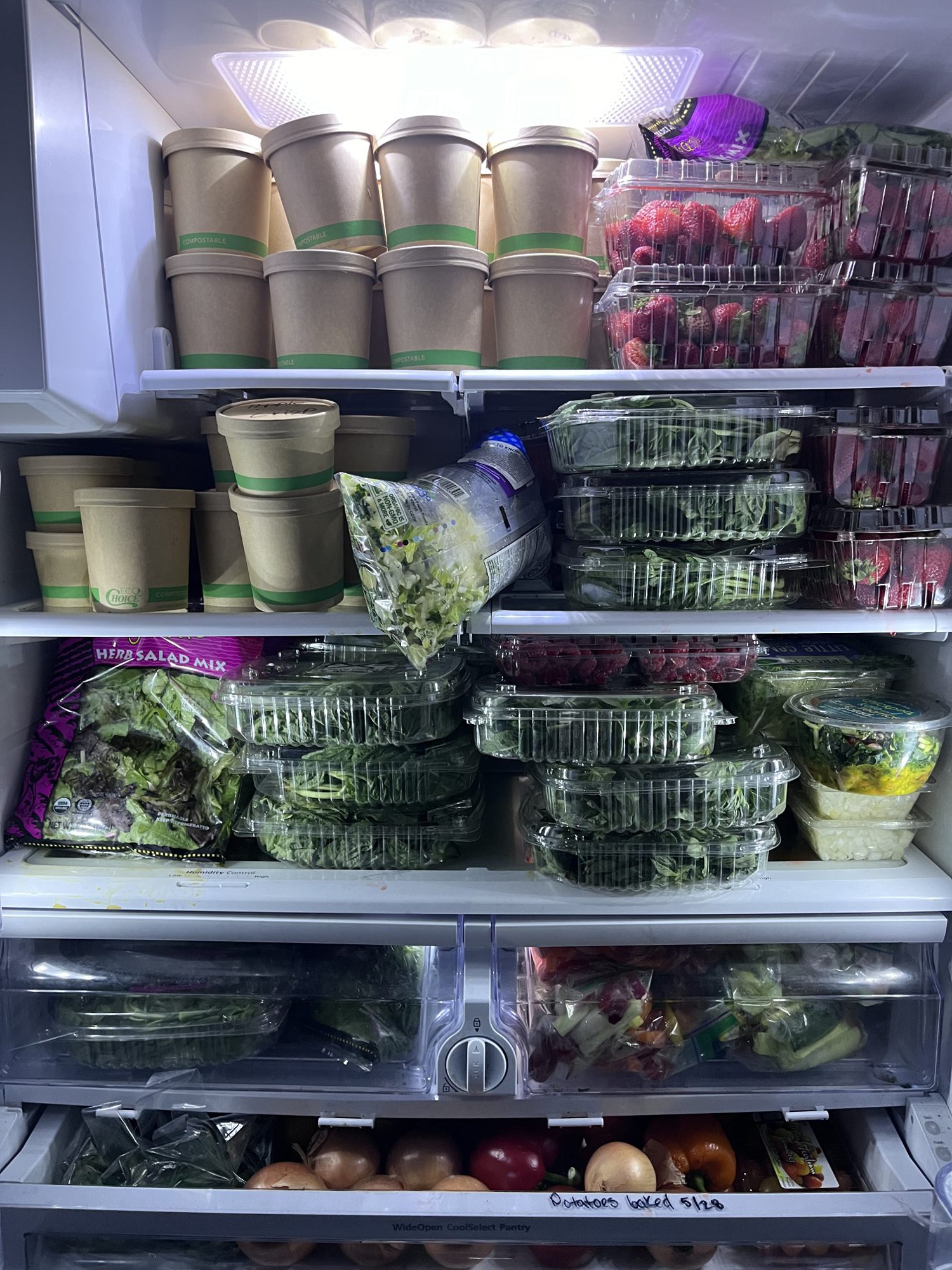 Fridge full of portioned food