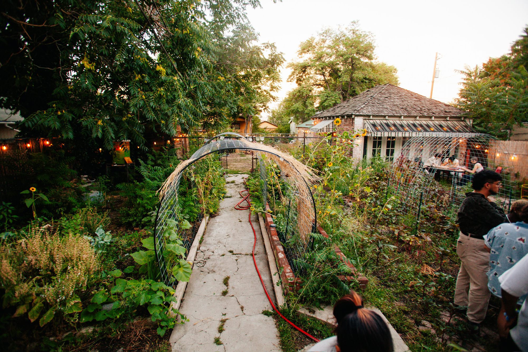 A garden full of people mingling
