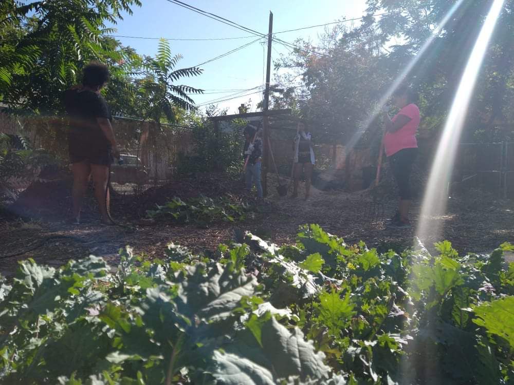 Volunteers hard at work in the garden