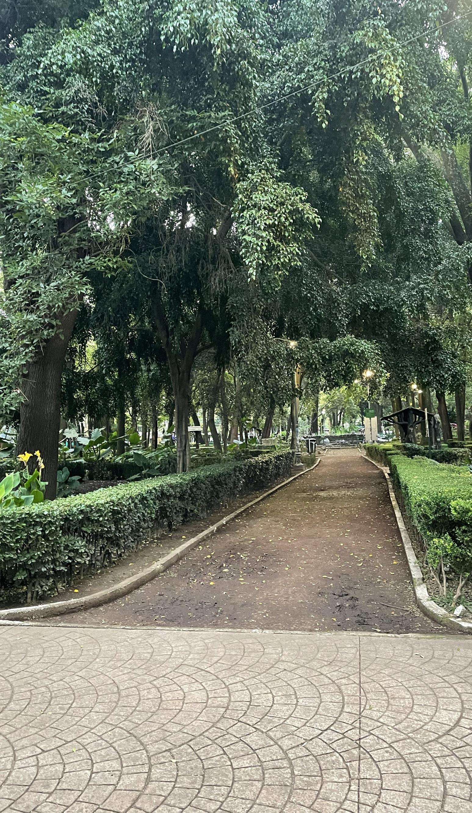 Beautiful public path in a city park