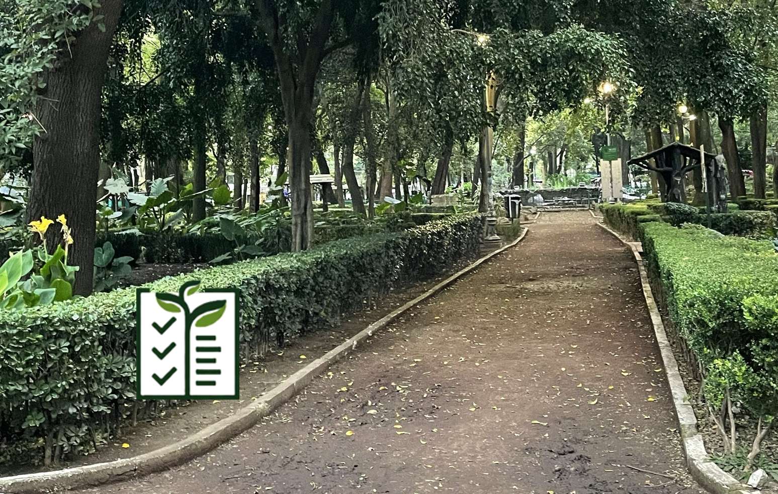 Beautiful shaded public path anyone can use